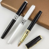 LUXURY FOUNTAIN PEN