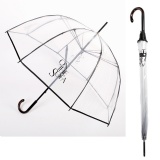 Transparent Umbrella